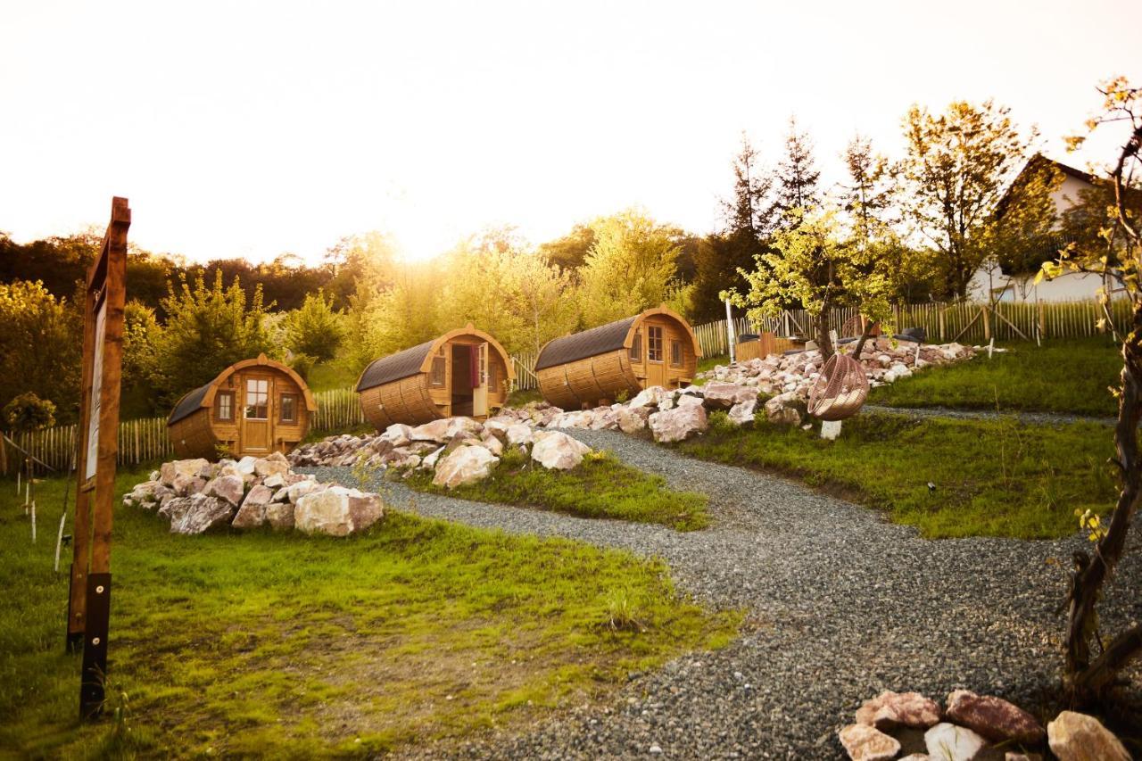Complex Butoaiele Transilvaniei - Cazare & Spa - Natura - Relaxare Mediaş Exterior foto