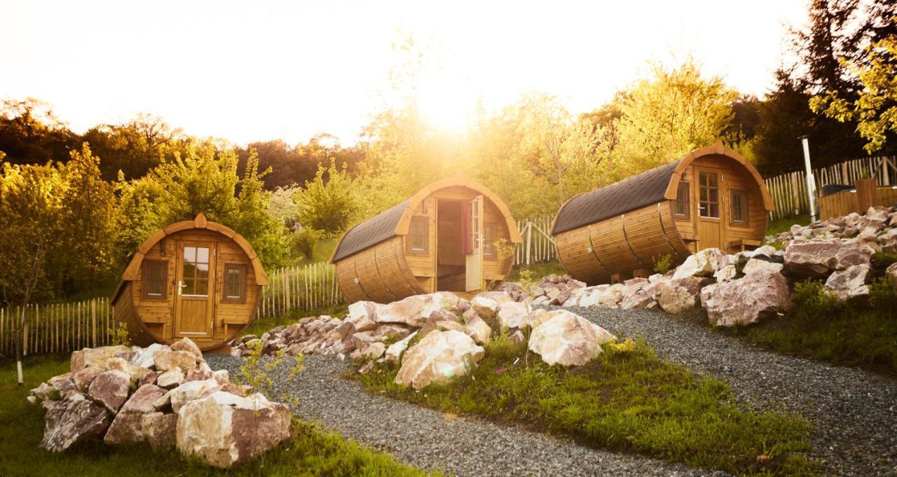 Complex Butoaiele Transilvaniei - Cazare & Spa - Natura - Relaxare Mediaş Exterior foto