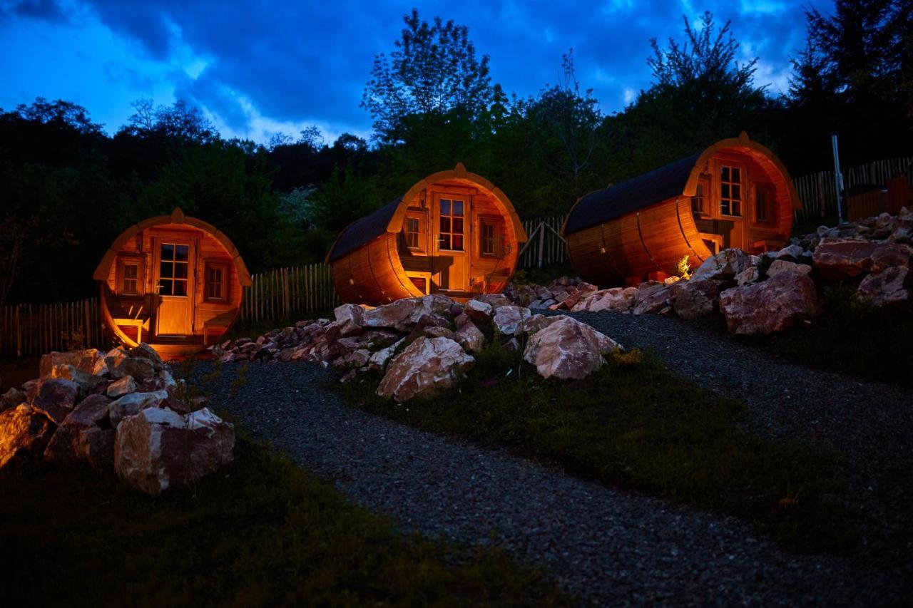 Complex Butoaiele Transilvaniei - Cazare & Spa - Natura - Relaxare Mediaş Exterior foto