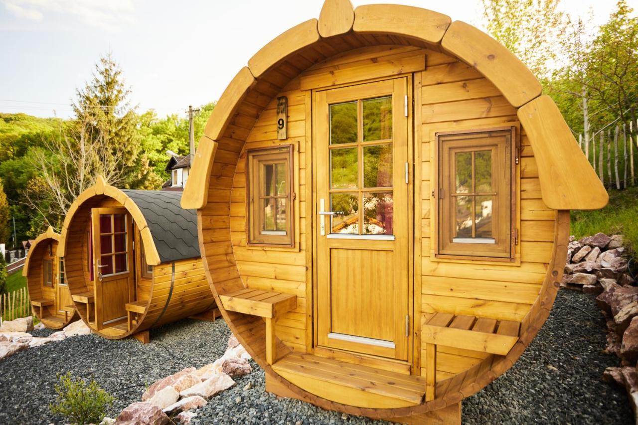 Complex Butoaiele Transilvaniei - Cazare & Spa - Natura - Relaxare Mediaş Exterior foto