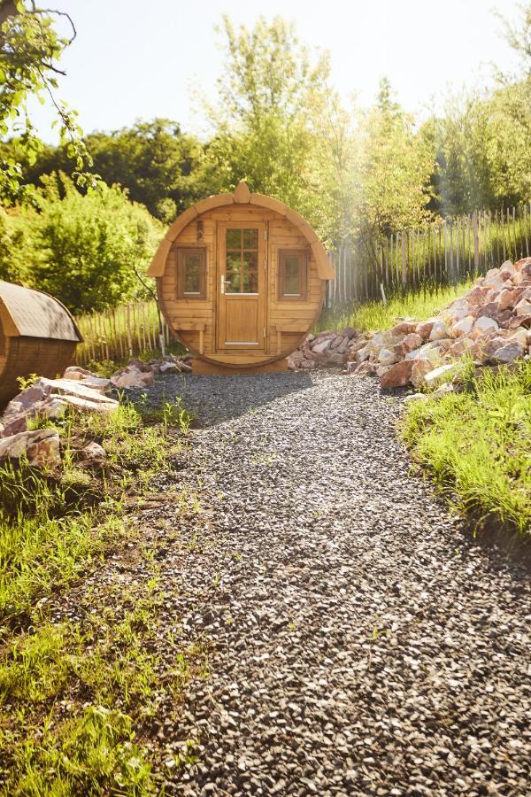 Complex Butoaiele Transilvaniei - Cazare & Spa - Natura - Relaxare Mediaş Exterior foto