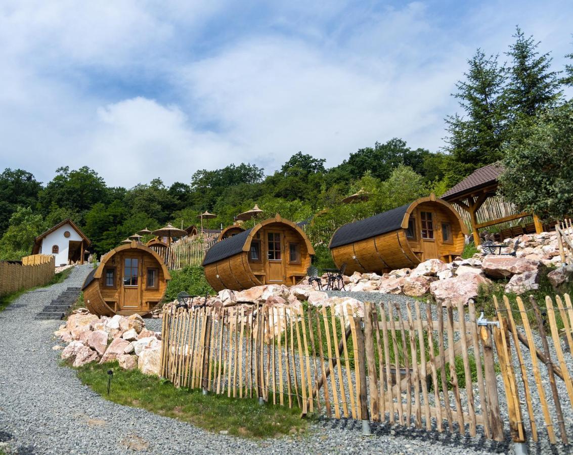 Complex Butoaiele Transilvaniei - Cazare & Spa - Natura - Relaxare Mediaş Exterior foto